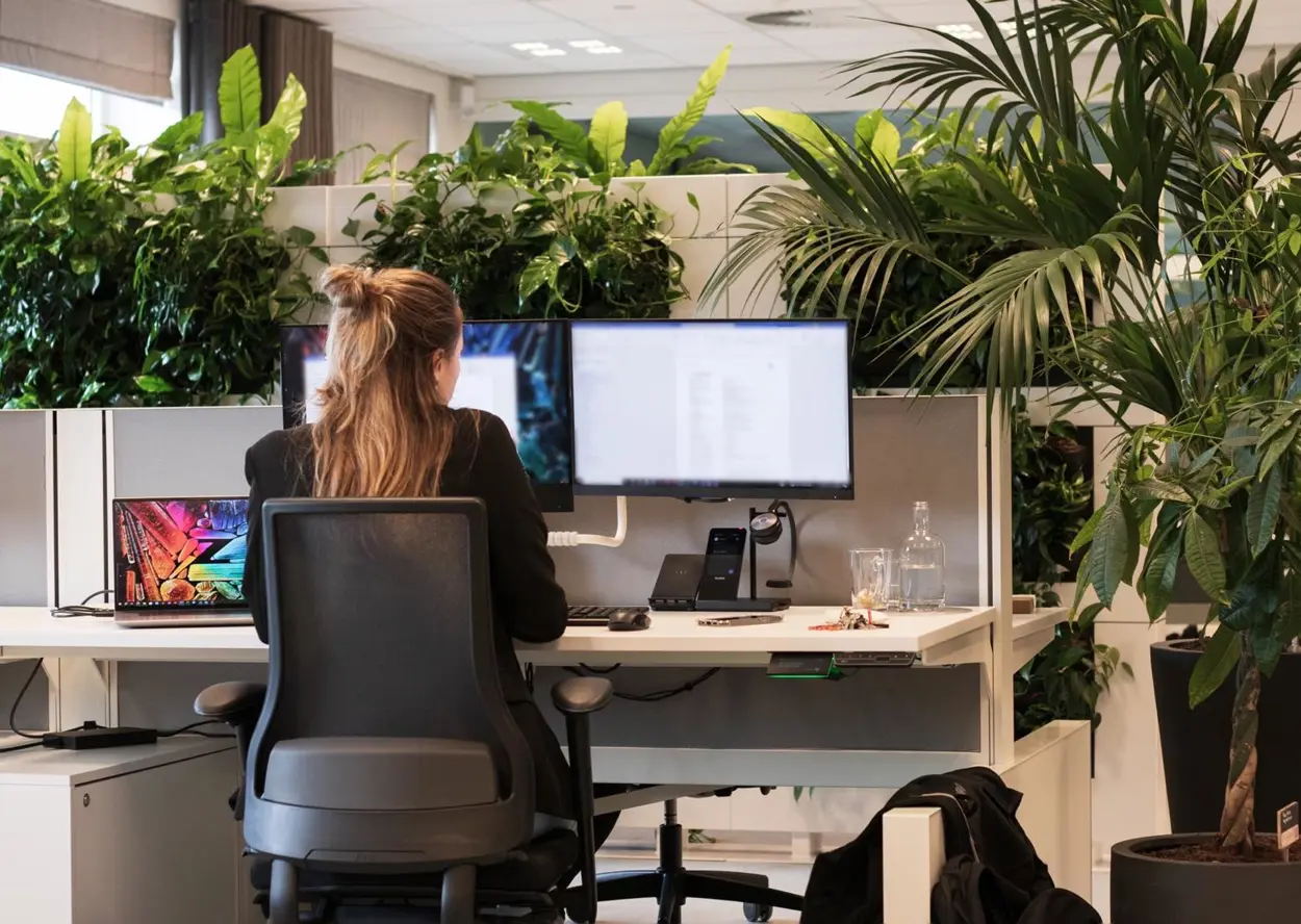 Whatsapp Image 2024 08 05 At 16.58.35 (1)