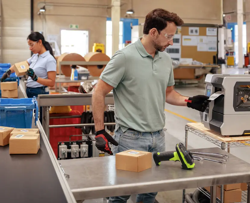 Photography Web Cat Hero Printers 16X9 3600.Jpg.Imgo